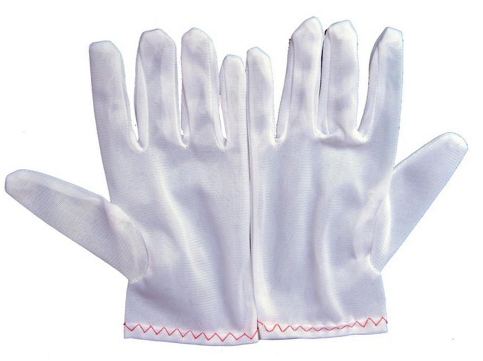 ถุงมือ Dust-Free Gloves 2030